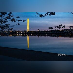 Washington Monument Evening Art Print - Blue and Gold 8x10
